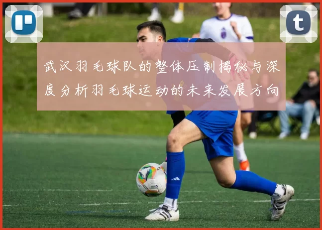 武汉羽毛球队的整体压制揭秘与深度分析羽毛球运动的未来发展方向