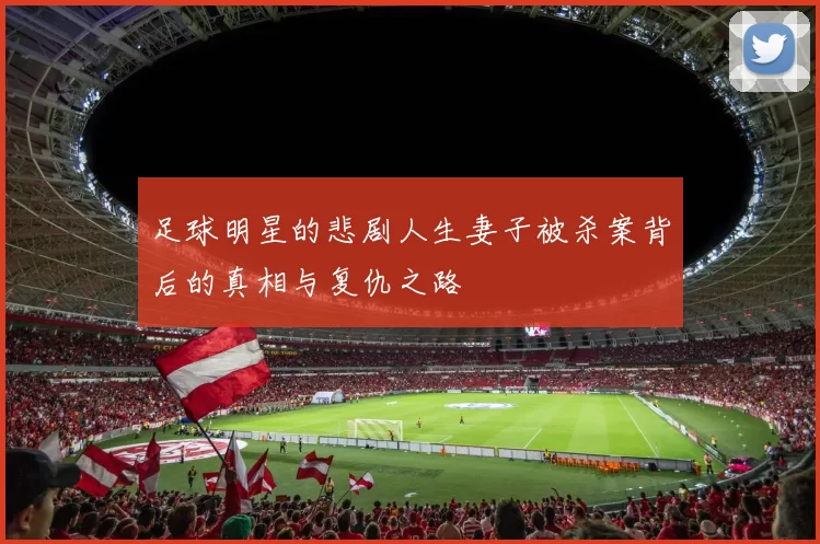 足球明星的悲剧人生妻子被杀案背后的真相与复仇之路