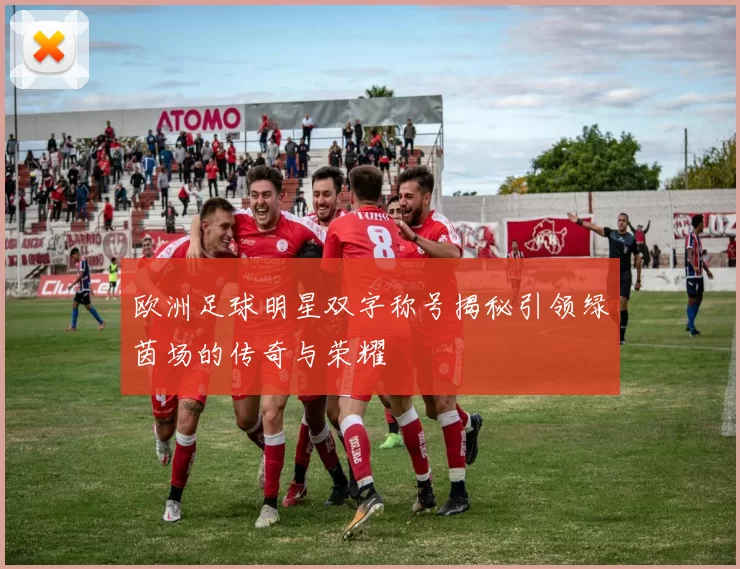 欧洲足球明星双字称号揭秘引领绿茵场的传奇与荣耀