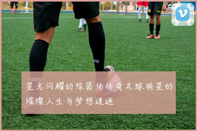 星光闪耀的绿茵场传奇足球明星的璀璨人生与梦想追逐