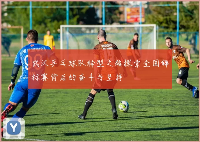 武汉乒乓球队转型之路探索全国锦标赛背后的奋斗与坚持