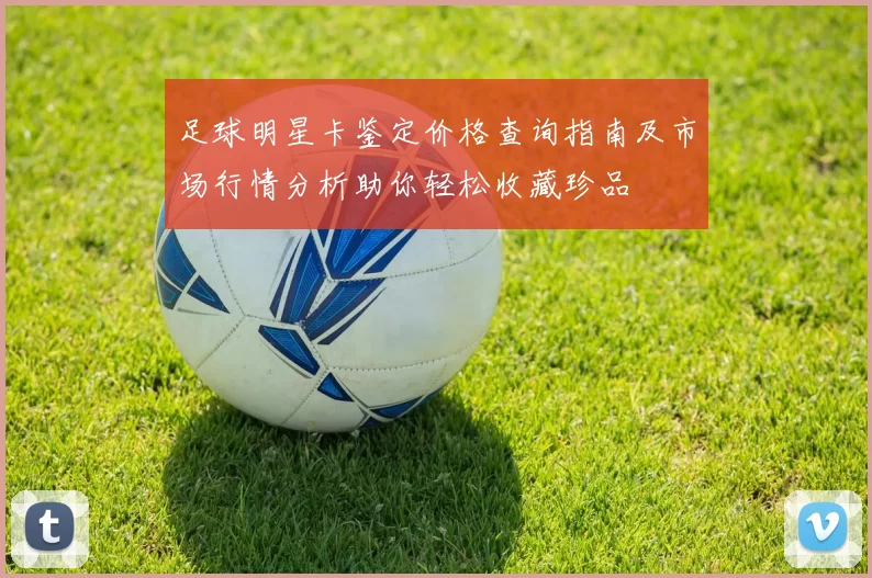 足球明星卡鉴定价格查询指南及市场行情分析助你轻松收藏珍品