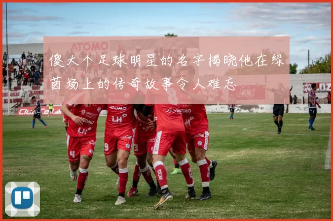 傻大个足球明星的名字揭晓他在绿茵场上的传奇故事令人难忘