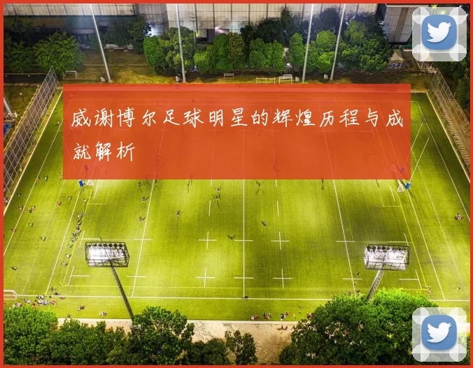 威谢博尔足球明星的辉煌历程与成就解析